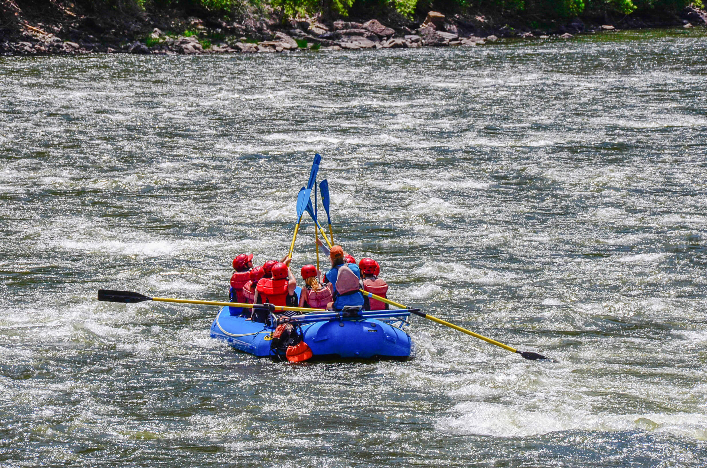 Image of a group of rafters giving a "paddle five" while they float down the Colorado River